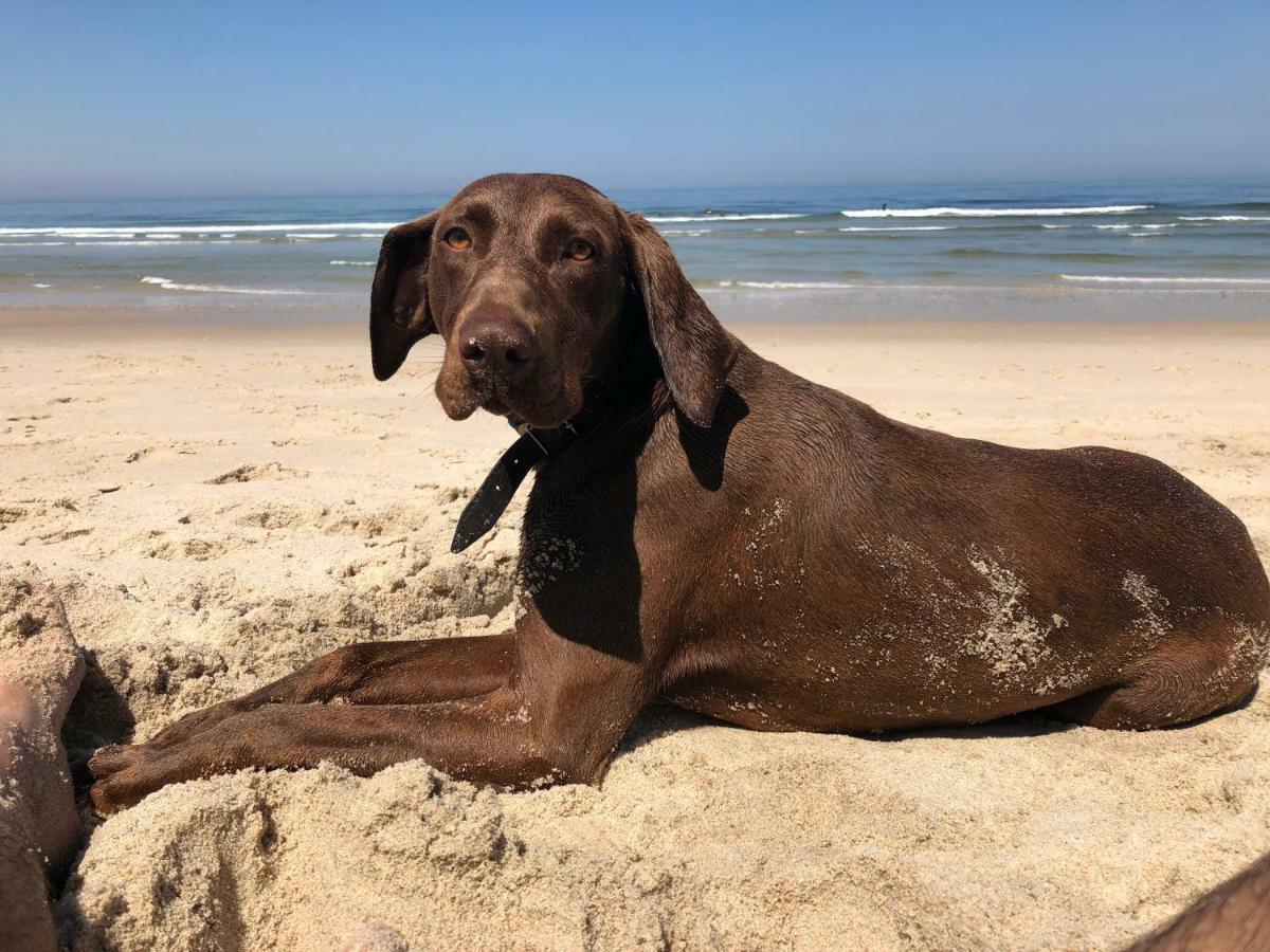 Beachliving Cortegaca 外观 照片
